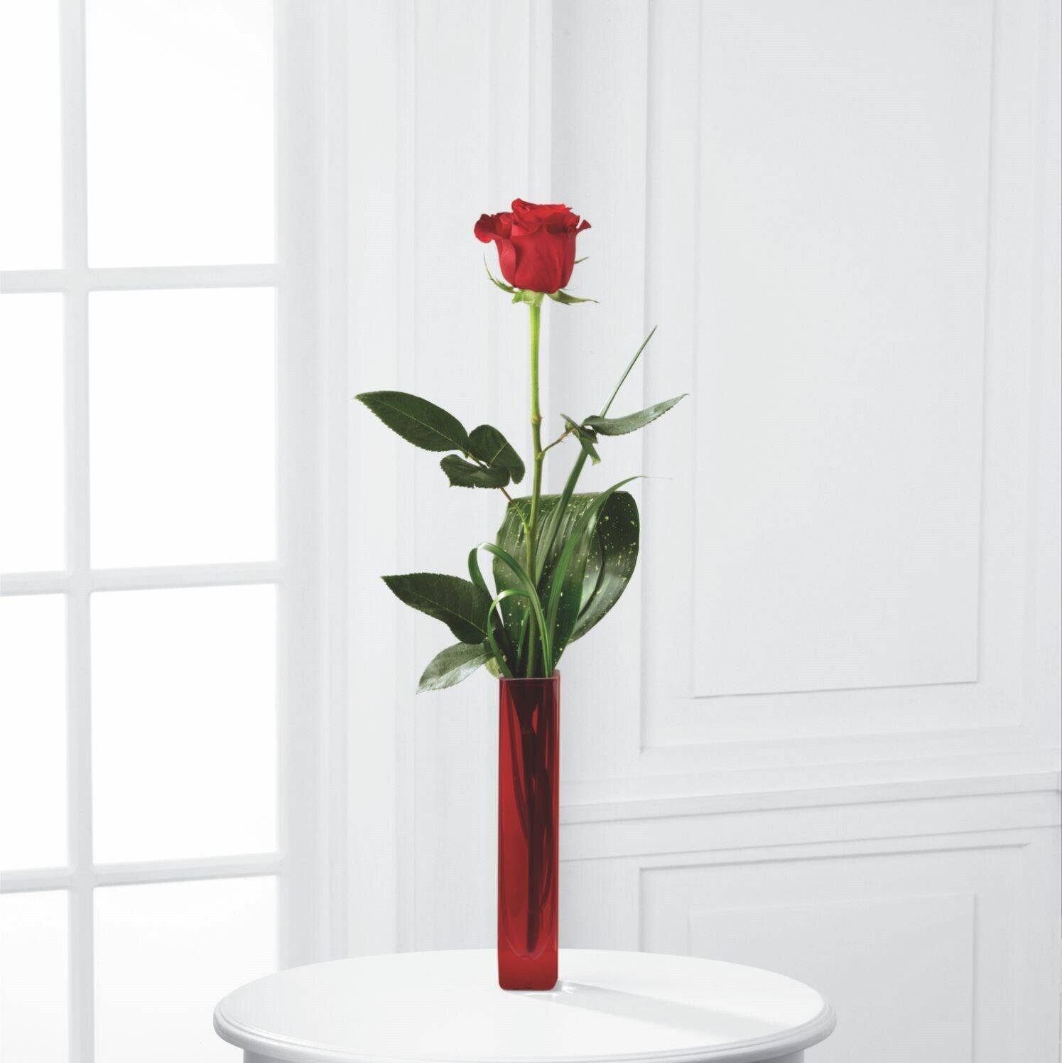 Blume, Pflanze, Rose, Blumen-Arrangement, Ikebana, Blume, Pflanze, Rose, Blumen-Arrangement, Ikebana, Blume, Pflanze, Rose, Blumen-Arrangement, Ikebana, Blume, Pflanze, Rose, Blumen-Arrangement, Ikebana, Blume, Pflanze, Rose, Blumen-Arrangement, Ikebana