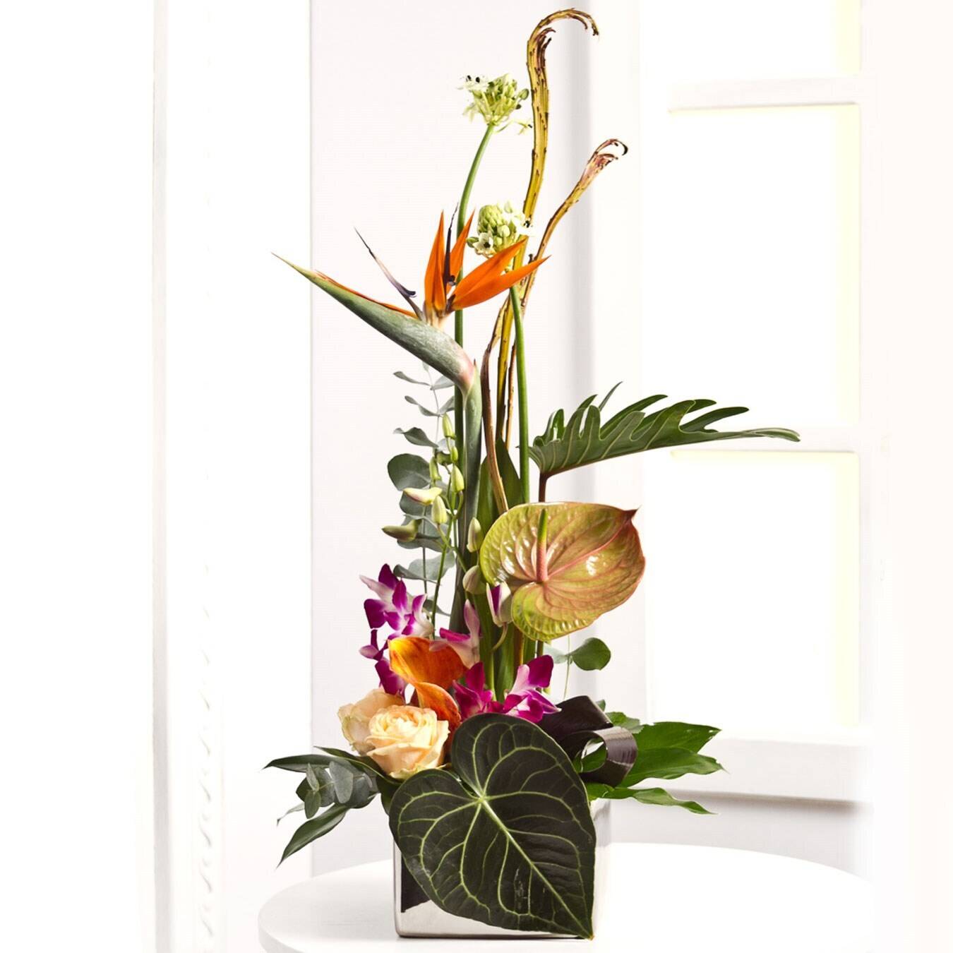 Blume, Blumen-Arrangement, Pflanze, Ikebana, Blumenstrauß, Blume, Blumen-Arrangement, Pflanze, Ikebana, Blumenstrauß, Blume, Blumen-Arrangement, Pflanze, Ikebana, Blumenstrauß, Blume, Blumen-Arrangement, Pflanze, Ikebana, Blumenstrauß