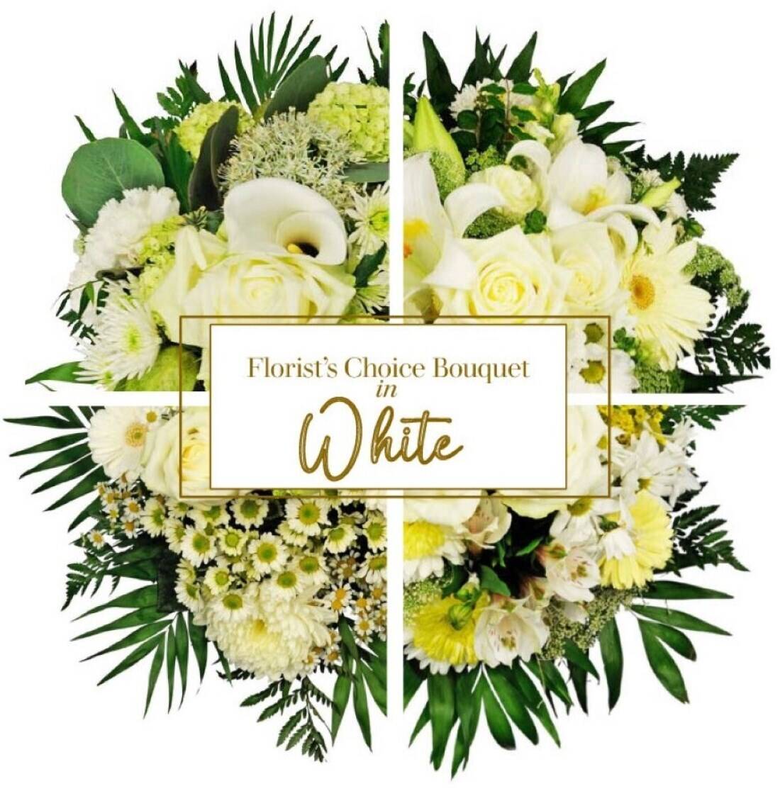 Blume, Blumen-Arrangement, Blumenstrauß, Florales Design, Grafiken, Blume, Blumen-Arrangement, Blumenstrauß, Florales Design, Grafiken, Blume, Blumen-Arrangement, Blumenstrauß, Florales Design, Grafiken