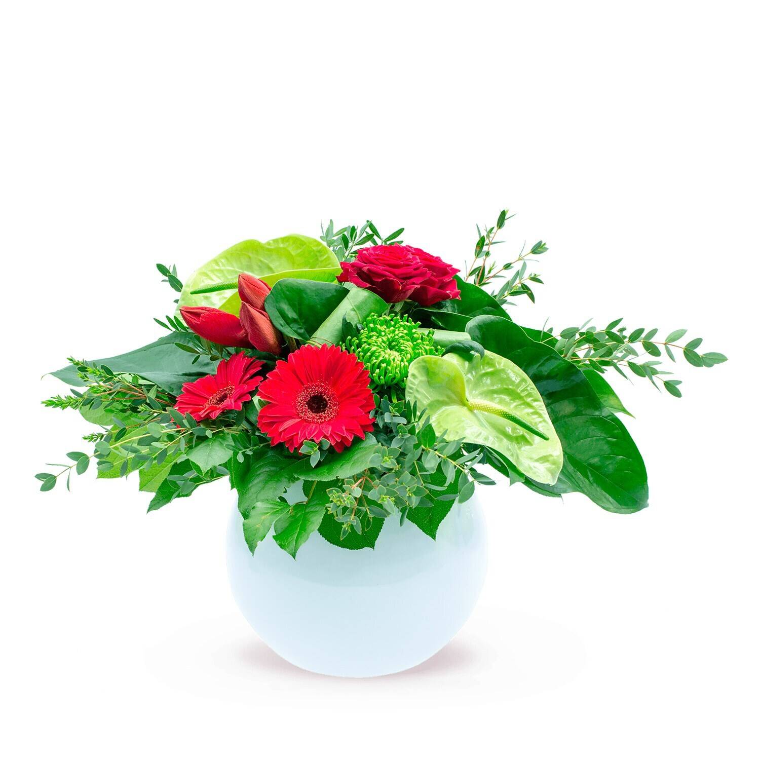 Blume, Blumen-Arrangement, Pflanze, Blumenstrauß, Blume, Blumen-Arrangement, Pflanze, Blumenstrauß, Blume, Blumen-Arrangement, Pflanze, Blumenstrauß, Blume, Blumen-Arrangement, Pflanze, Blumenstrauß, Blume, Blumen-Arrangement, Pflanze, Blumenstrauß