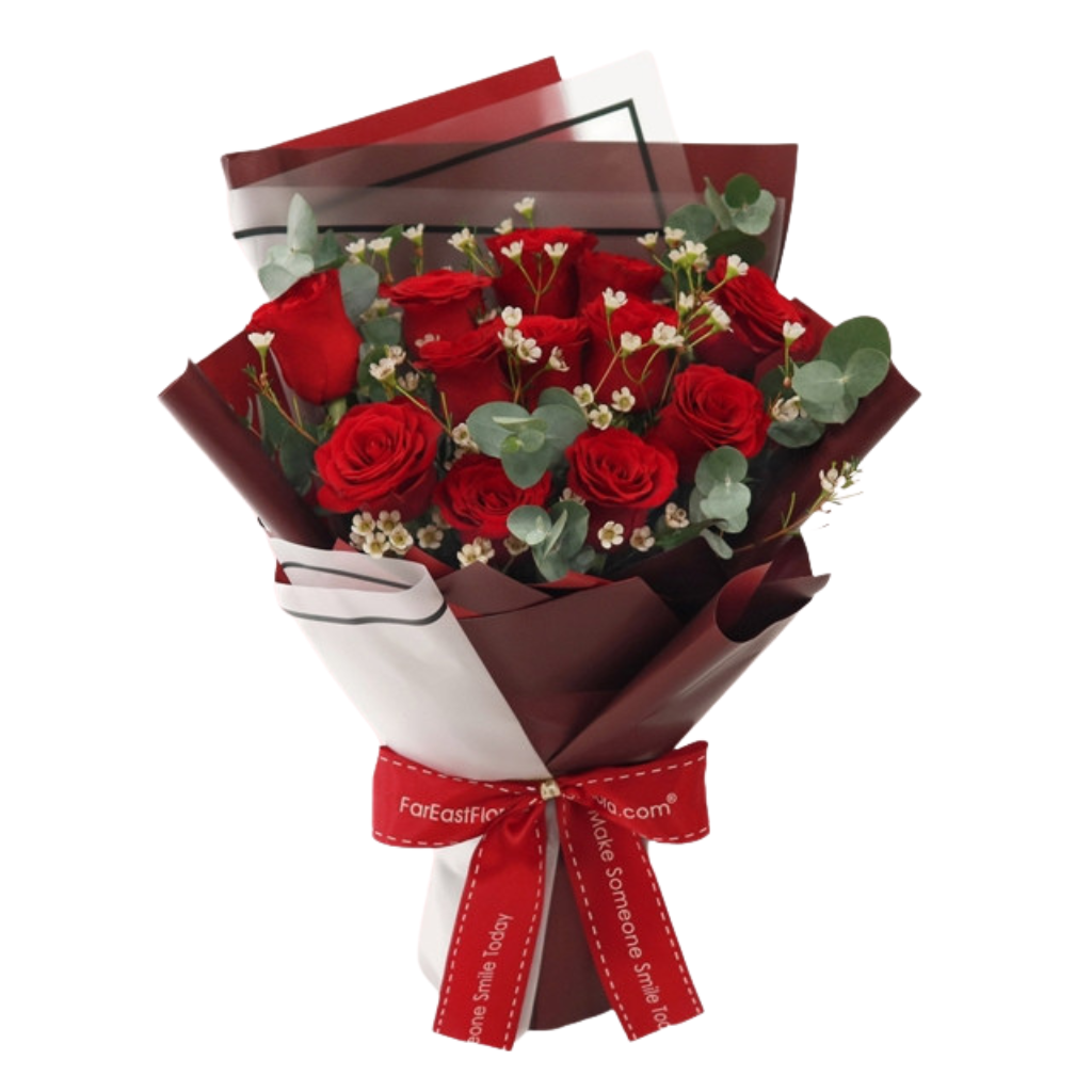 Blume, Blumen-Arrangement, Blumenstrauß, Pflanze, Rose, Blume, Blumen-Arrangement, Blumenstrauß, Pflanze, Rose, Blume, Blumen-Arrangement, Blumenstrauß, Pflanze, Rose, Blume, Blumen-Arrangement, Blumenstrauß, Pflanze, Rose