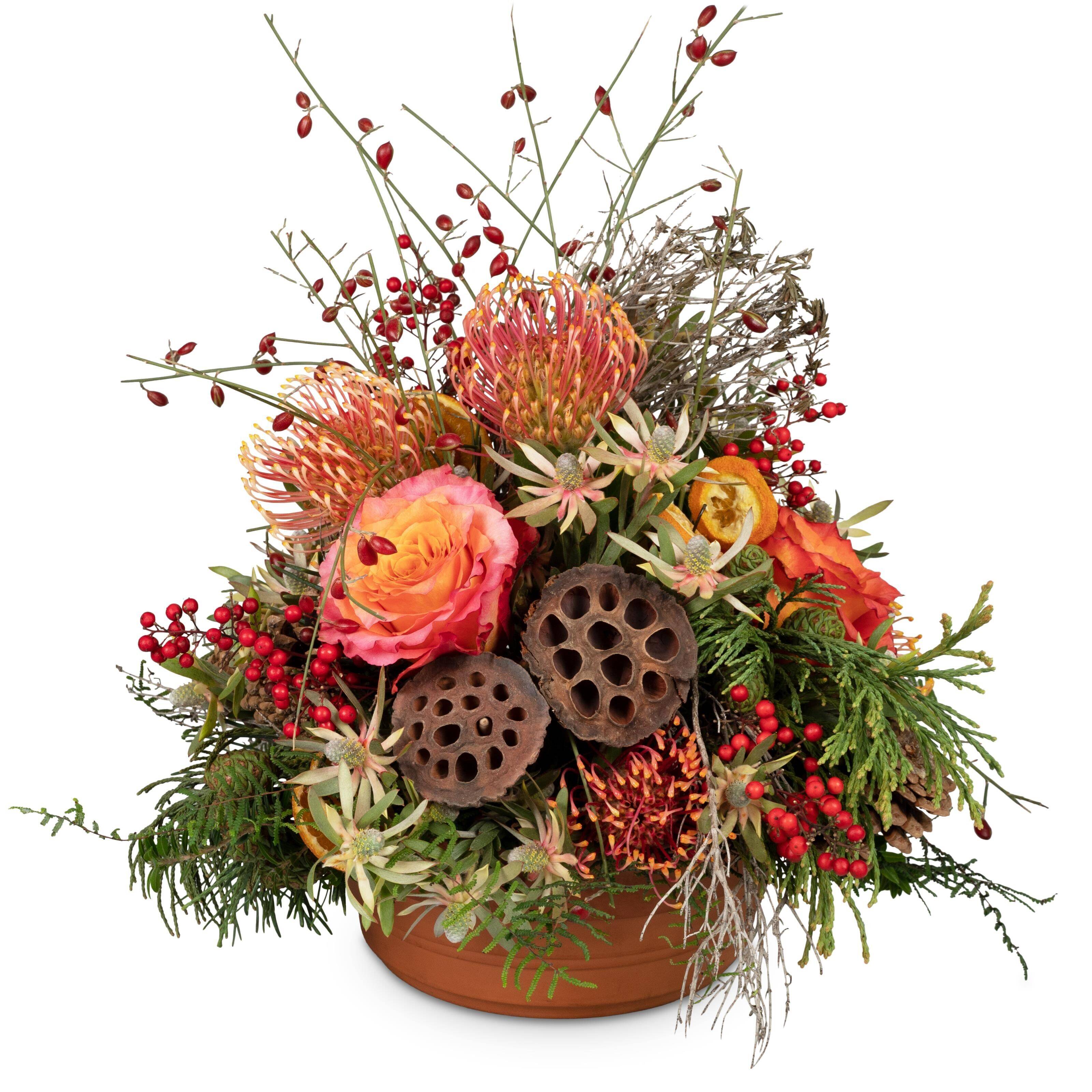 Blume, Blumen-Arrangement, Pflanze, Blumenstrauß, Rose, Blume, Blumen-Arrangement, Pflanze, Blumenstrauß, Rose, Blume, Blumen-Arrangement, Pflanze, Blumenstrauß, Rose, Blume, Blumen-Arrangement, Pflanze, Blumenstrauß, Rose
