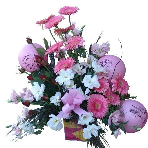 Blume, Blumen-Arrangement, Pflanze, Blumenstrauß, Blume, Blumen-Arrangement, Pflanze, Blumenstrauß, Blume, Blumen-Arrangement, Pflanze, Blumenstrauß, Blume, Blumen-Arrangement, Pflanze, Blumenstrauß, Blume, Blumen-Arrangement, Pflanze, Blumenstrauß