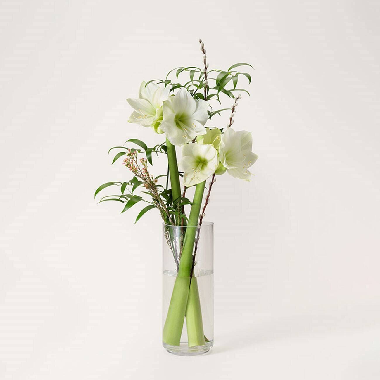 Blume, Blumen-Arrangement, Pflanze, Ikebana, Blumenstrauß, Blume, Blumen-Arrangement, Pflanze, Ikebana, Blumenstrauß, Blume, Blumen-Arrangement, Pflanze, Ikebana, Blumenstrauß, Blume, Blumen-Arrangement, Pflanze, Ikebana, Blumenstrauß