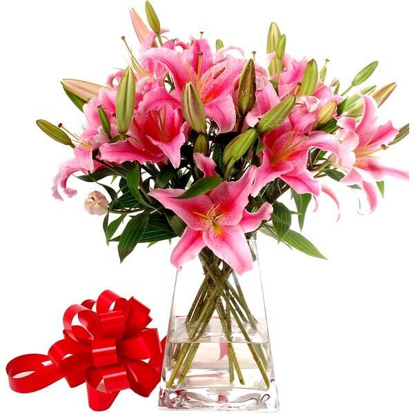 Blume, Blumen-Arrangement, Pflanze, Blumenstrauß, Blume, Blumen-Arrangement, Pflanze, Blumenstrauß, Blume, Blumen-Arrangement, Pflanze, Blumenstrauß, Blume, Blumen-Arrangement, Pflanze, Blumenstrauß, Blume, Blumen-Arrangement, Pflanze, Blumenstrauß