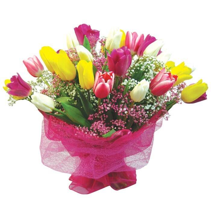 Blume, Blumen-Arrangement, Blumenstrauß, Pflanze, Blume, Blumen-Arrangement, Blumenstrauß, Pflanze, Blume, Blumen-Arrangement, Blumenstrauß, Pflanze, Blume, Blumen-Arrangement, Blumenstrauß, Pflanze, Blume, Blumen-Arrangement, Blumenstrauß, Pflanze