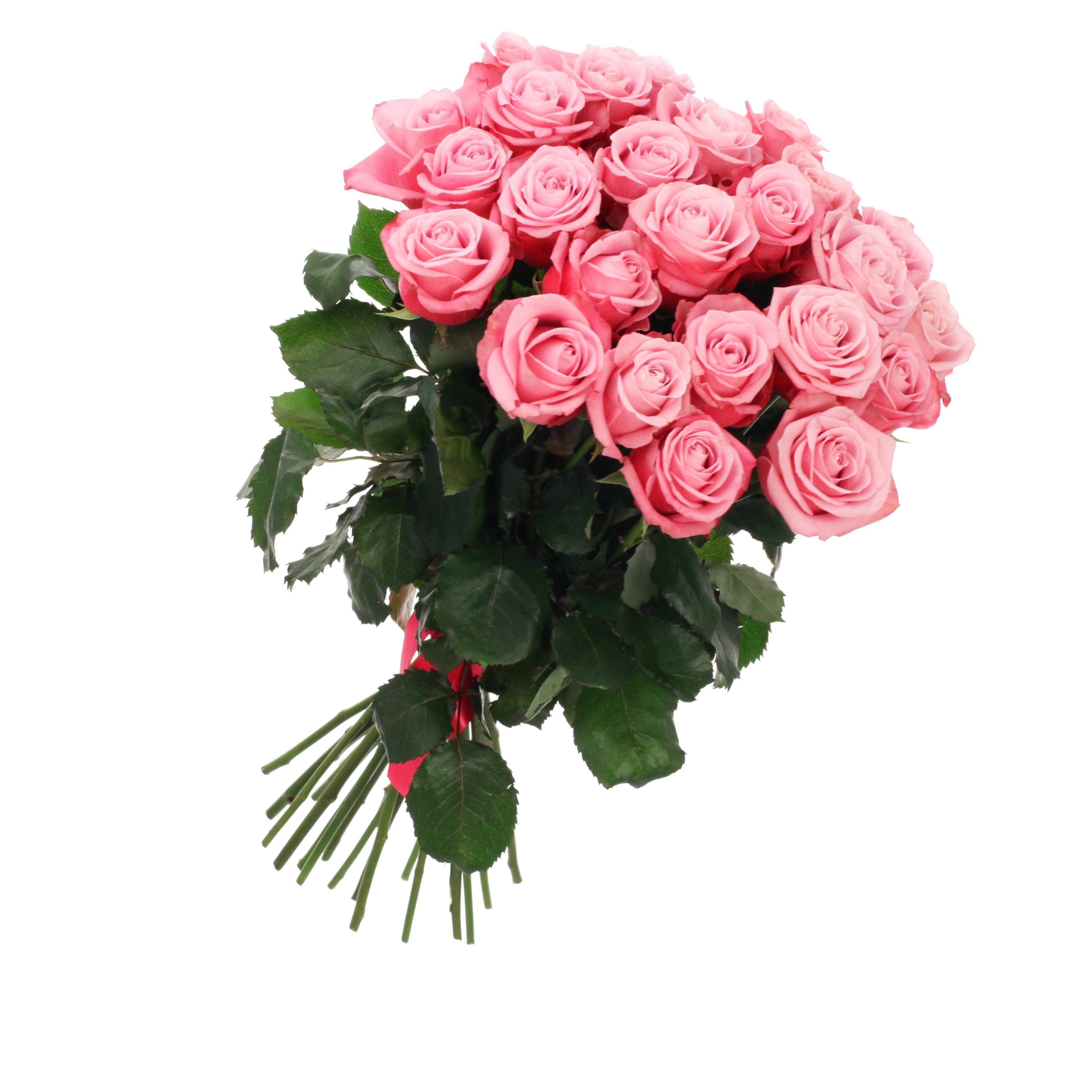 Blume, Blumen-Arrangement, Blumenstrauß, Pflanze, Rose, Blume, Blumen-Arrangement, Blumenstrauß, Pflanze, Rose, Blume, Blumen-Arrangement, Blumenstrauß, Pflanze, Rose, Blume, Blumen-Arrangement, Blumenstrauß, Pflanze, Rose