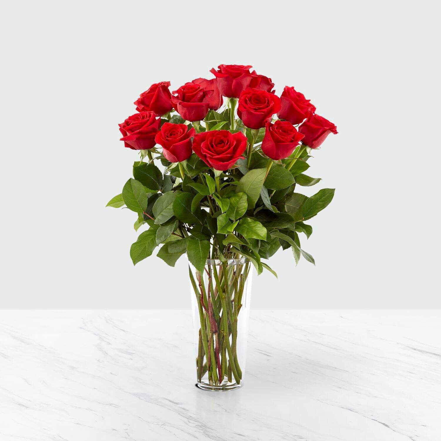 Blume, Pflanze, Rose, Blumen-Arrangement, Blumenstrauß, Blume, Pflanze, Rose, Blumen-Arrangement, Blumenstrauß, Blume, Pflanze, Rose, Blumen-Arrangement, Blumenstrauß, Blume, Pflanze, Rose, Blumen-Arrangement, Blumenstrauß