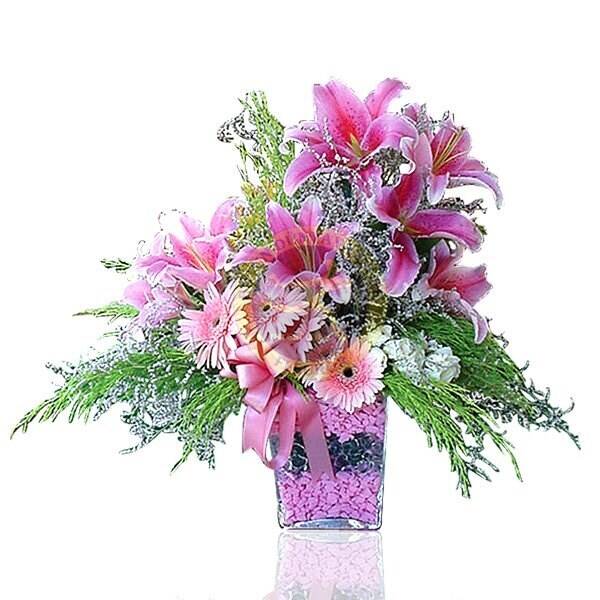 Blume, Blumen-Arrangement, Pflanze, Blumenstrauß, Muster, Blume, Blumen-Arrangement, Pflanze, Blumenstrauß, Muster, Blume, Blumen-Arrangement, Pflanze, Blumenstrauß, Muster, Blume, Blumen-Arrangement, Pflanze, Blumenstrauß, Muster
