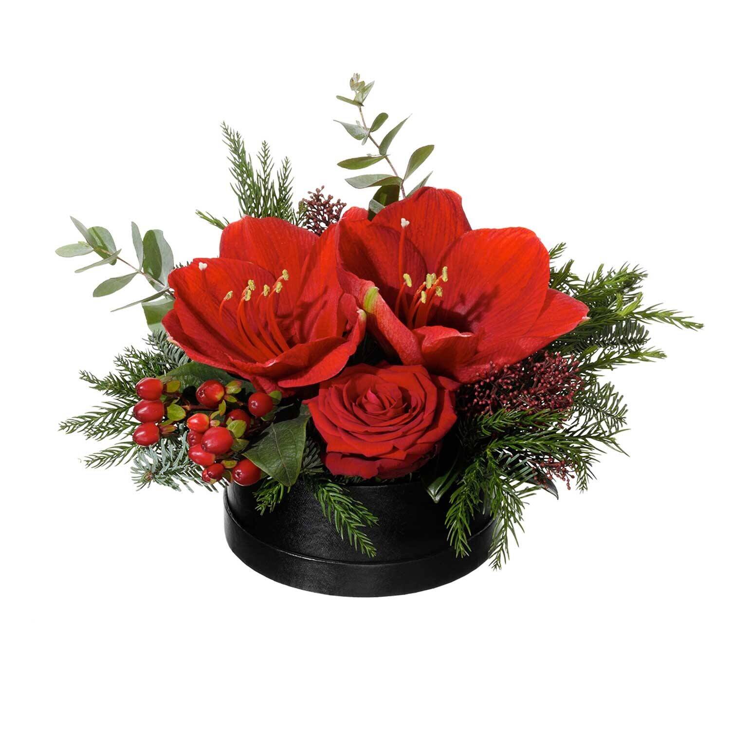 Blume, Blumen-Arrangement, Pflanze, Blumenstrauß, Rose, Blume, Blumen-Arrangement, Pflanze, Blumenstrauß, Rose, Blume, Blumen-Arrangement, Pflanze, Blumenstrauß, Rose, Blume, Blumen-Arrangement, Pflanze, Blumenstrauß, Rose