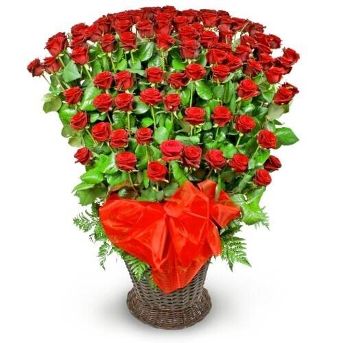 Blume, Blumen-Arrangement, Pflanze, Blumenstrauß, Rose, Blume, Blumen-Arrangement, Pflanze, Blumenstrauß, Rose, Blume, Blumen-Arrangement, Pflanze, Blumenstrauß, Rose, Blume, Blumen-Arrangement, Pflanze, Blumenstrauß, Rose
