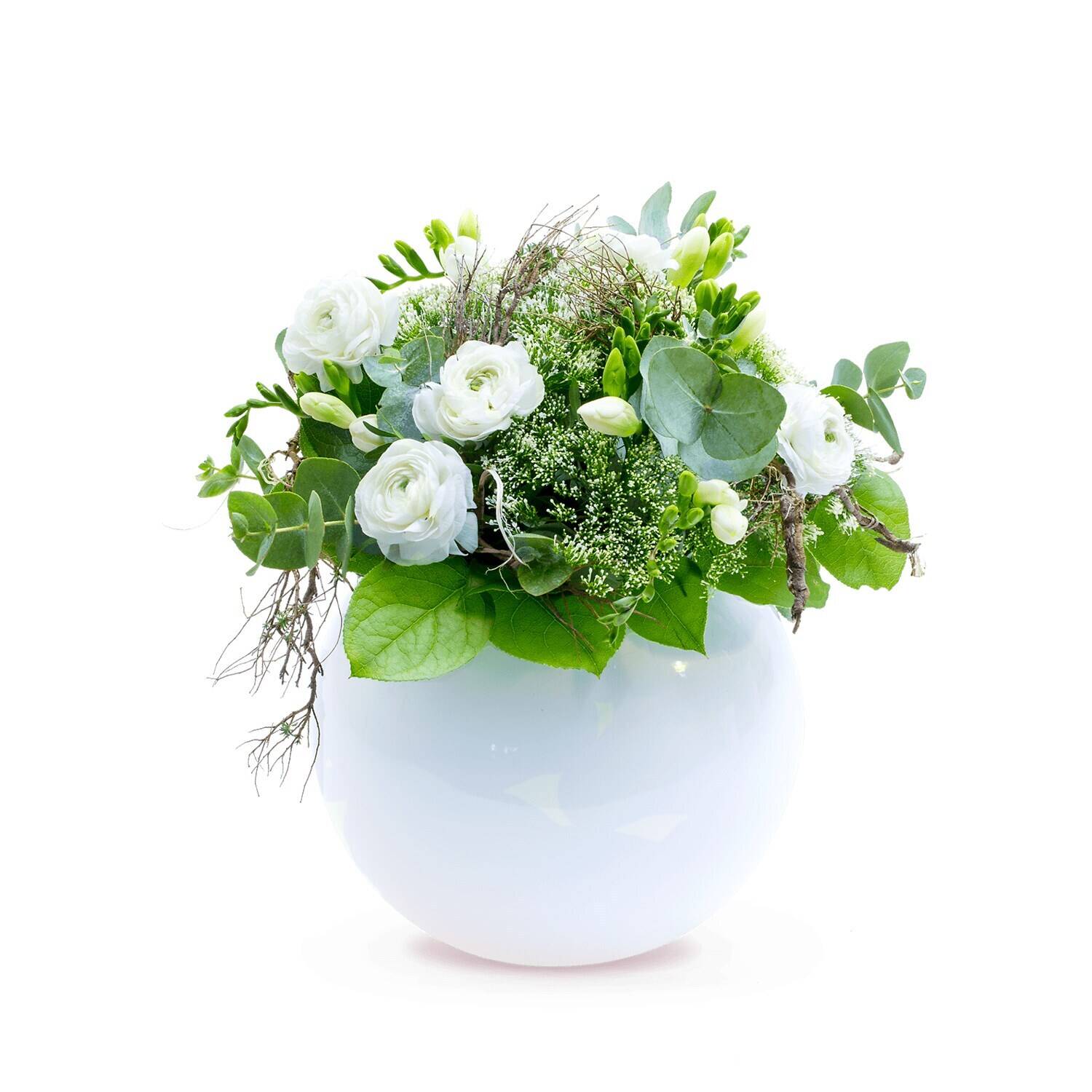 Blume, Blumen-Arrangement, Blumenstrauß, Florales Design, Topfpflanze, Blume, Blumen-Arrangement, Blumenstrauß, Florales Design, Topfpflanze, Blume, Blumen-Arrangement, Blumenstrauß, Florales Design, Topfpflanze