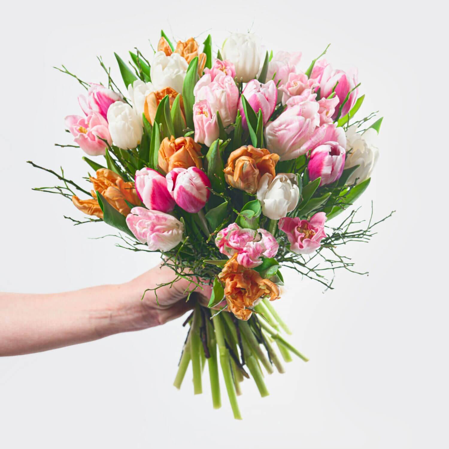 Blume, Blumen-Arrangement, Blumenstrauß, Florales Design, Rose, Blume, Blumen-Arrangement, Blumenstrauß, Florales Design, Rose, Blume, Blumen-Arrangement, Blumenstrauß, Florales Design, Rose, Blumenstrauß, Tulpen, Floral, Blumen, bunt