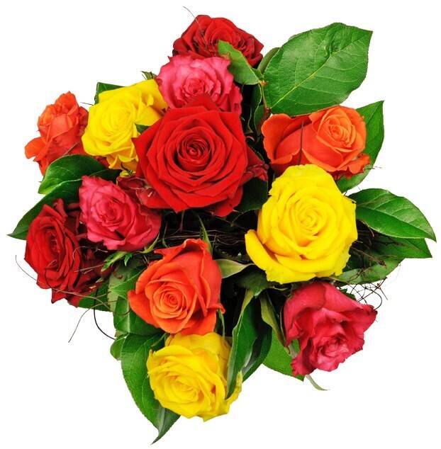 Blume, Blumen-Arrangement, Blumenstrauß, Pflanze, Rose, Blume, Blumen-Arrangement, Blumenstrauß, Pflanze, Rose, Blume, Blumen-Arrangement, Blumenstrauß, Pflanze, Rose, Blume, Blumen-Arrangement, Blumenstrauß, Pflanze, Rose