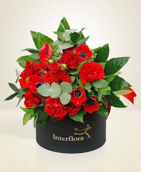Blume, Blumen-Arrangement, Pflanze, Rose, Blumenstrauß, Blume, Blumen-Arrangement, Pflanze, Rose, Blumenstrauß, Blume, Blumen-Arrangement, Pflanze, Rose, Blumenstrauß, Blume, Blumen-Arrangement, Pflanze, Rose, Blumenstrauß