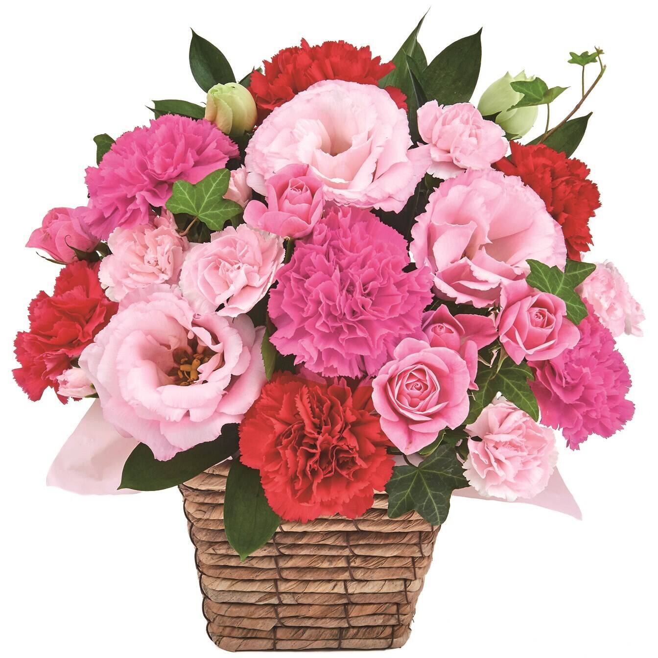 Blume, Blumen-Arrangement, Blumenstrauß, Nelke, Rose, Blume, Blumen-Arrangement, Blumenstrauß, Nelke, Rose, Blume, Blumen-Arrangement, Blumenstrauß, Nelke, Rose, Blume, Blumen-Arrangement, Blumenstrauß, Nelke, Rose
