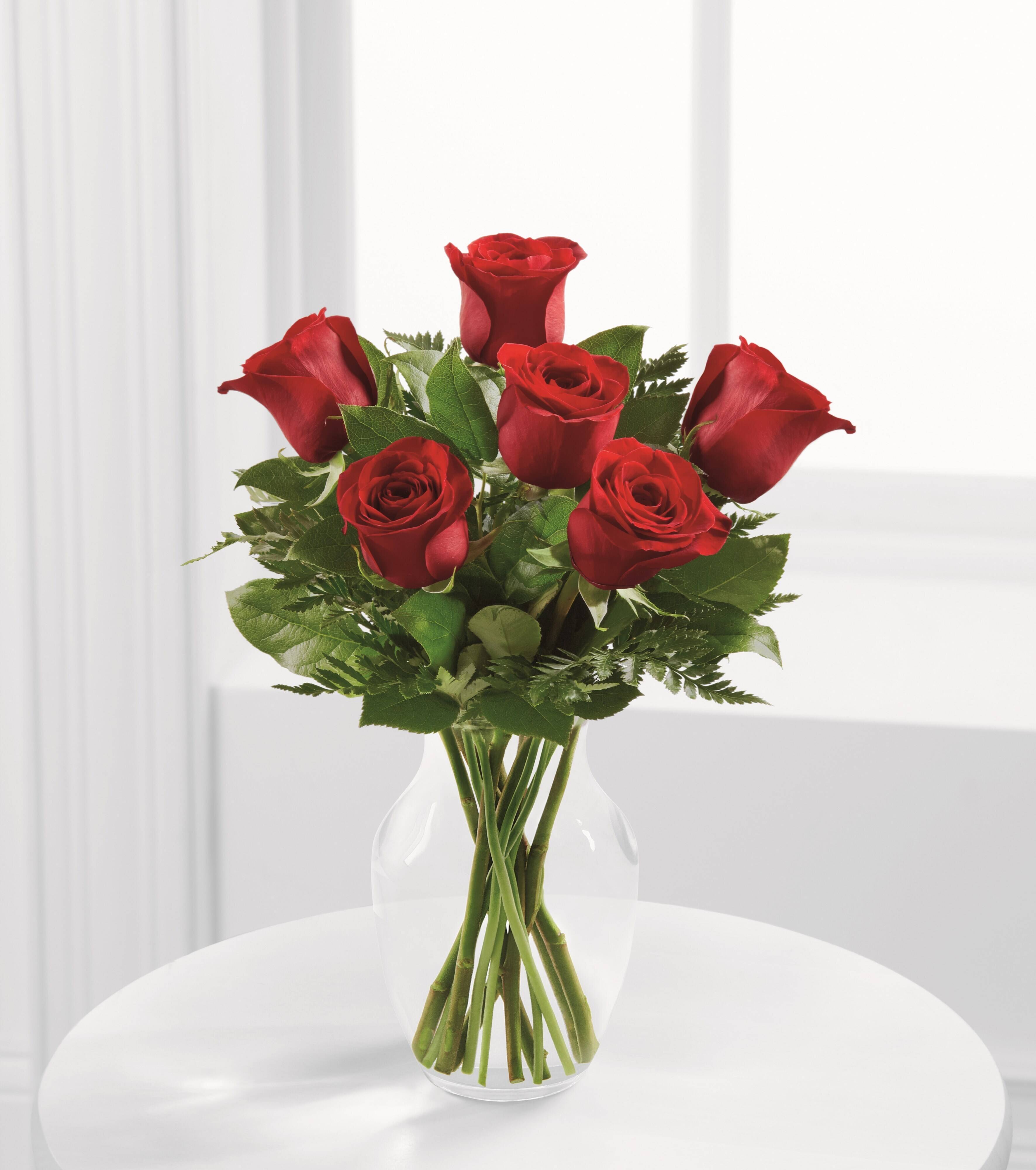 Blume, Pflanze, Rose, Blumen-Arrangement, Blumenstrauß, Blume, Pflanze, Rose, Blumen-Arrangement, Blumenstrauß, Blume, Pflanze, Rose, Blumen-Arrangement, Blumenstrauß, Blume, Pflanze, Rose, Blumen-Arrangement, Blumenstrauß