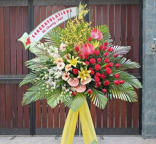 Blume, Blumen-Arrangement, Pflanze, Blumenstrauß, Topfpflanze, Blume, Blumen-Arrangement, Pflanze, Blumenstrauß, Topfpflanze, Blume, Blumen-Arrangement, Pflanze, Blumenstrauß, Topfpflanze