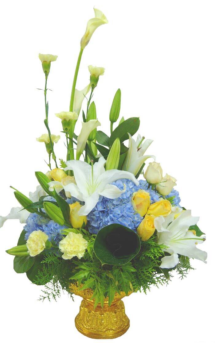 Blume, Blumen-Arrangement, Pflanze, Blumenstrauß, Florales Design, Blume, Blumen-Arrangement, Pflanze, Blumenstrauß, Florales Design, Blume, Blumen-Arrangement, Pflanze, Blumenstrauß, Florales Design