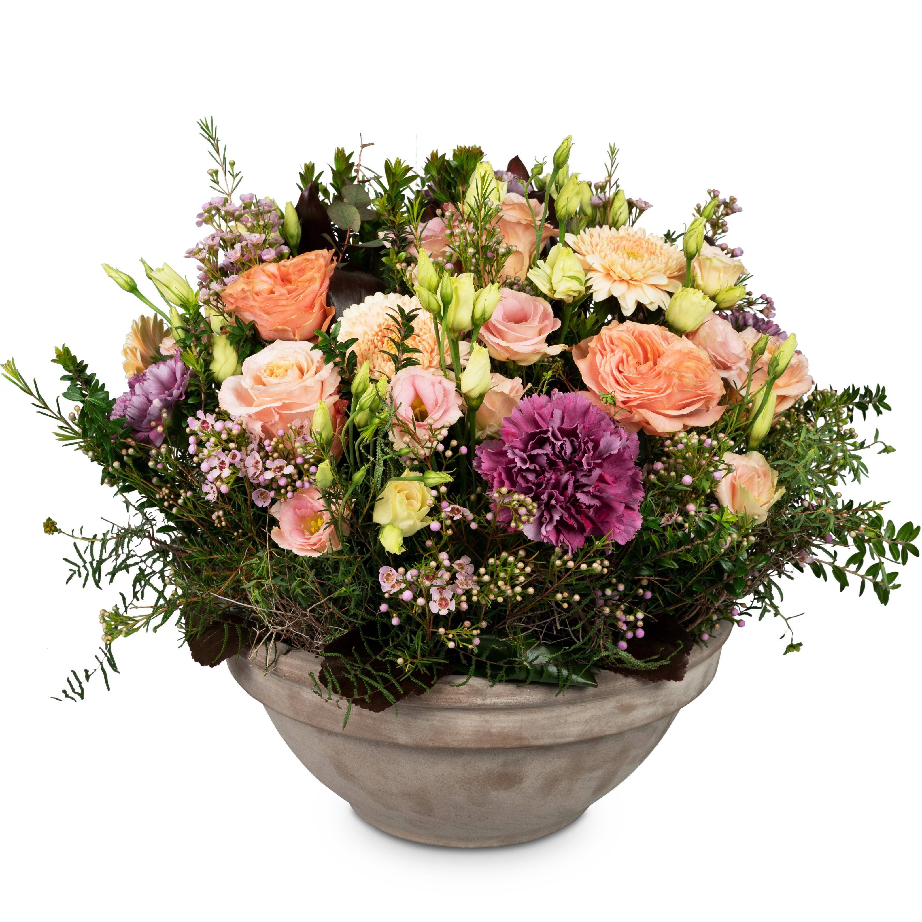 Flower, Flower Arrangement, Plant, Flower Bouquet, Rose, Flower, Flower Arrangement, Plant, Flower Bouquet, Rose, Flower, Flower Arrangement, Plant, Flower Bouquet, Rose, Flower, Flower Arrangement, Plant, Flower Bouquet, Rose