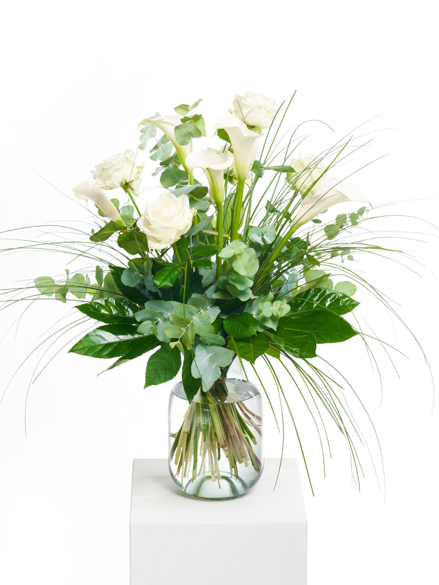 Crystal Paradise - Hauptblüte: Rosen - Hauptfarbe: Weiß