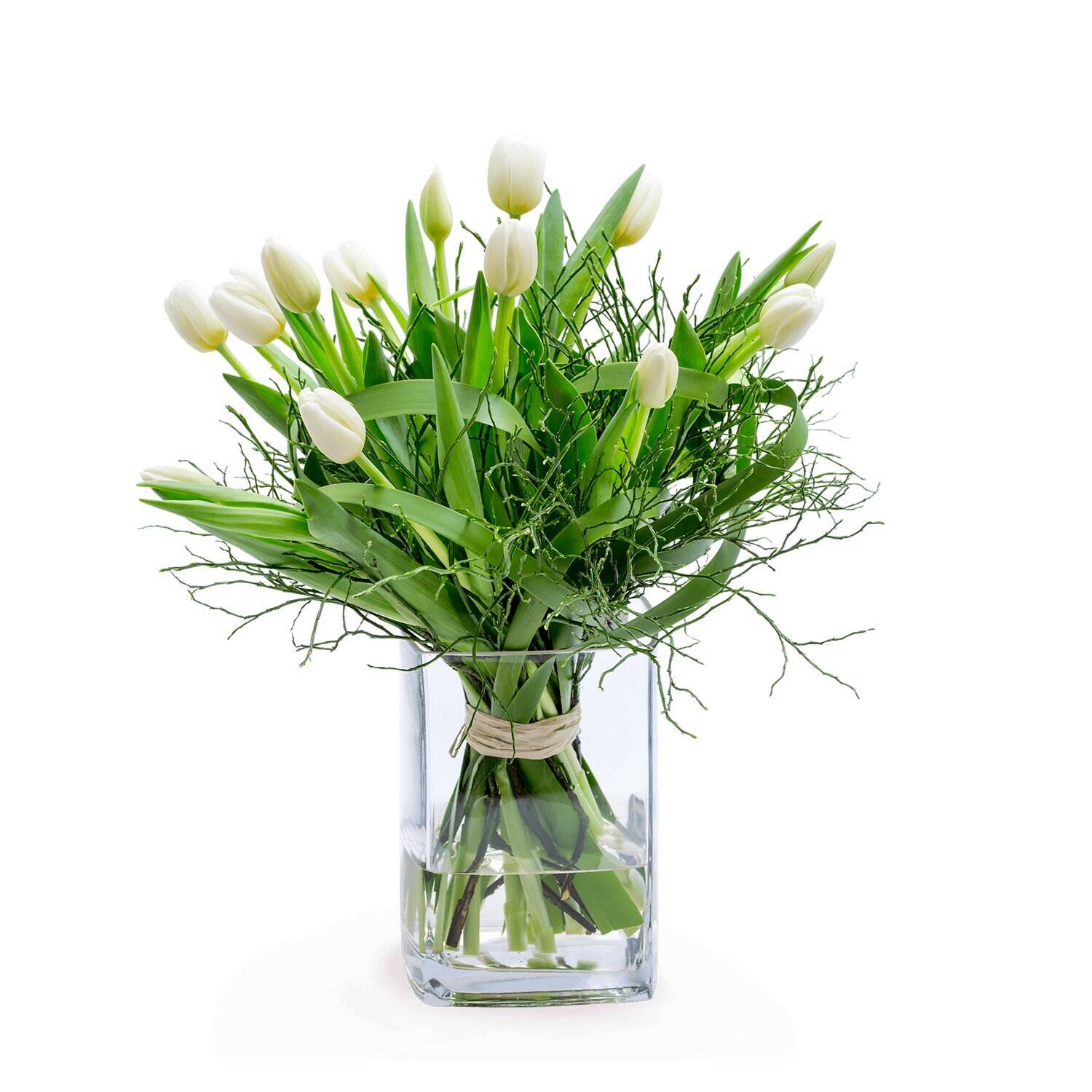 Blume, Blumen-Arrangement, Pflanze, Blumenstrauß, Glas, Blume, Blumen-Arrangement, Pflanze, Blumenstrauß, Glas, Blume, Blumen-Arrangement, Pflanze, Blumenstrauß, Glas, Blume, Blumen-Arrangement, Pflanze, Blumenstrauß, Glas