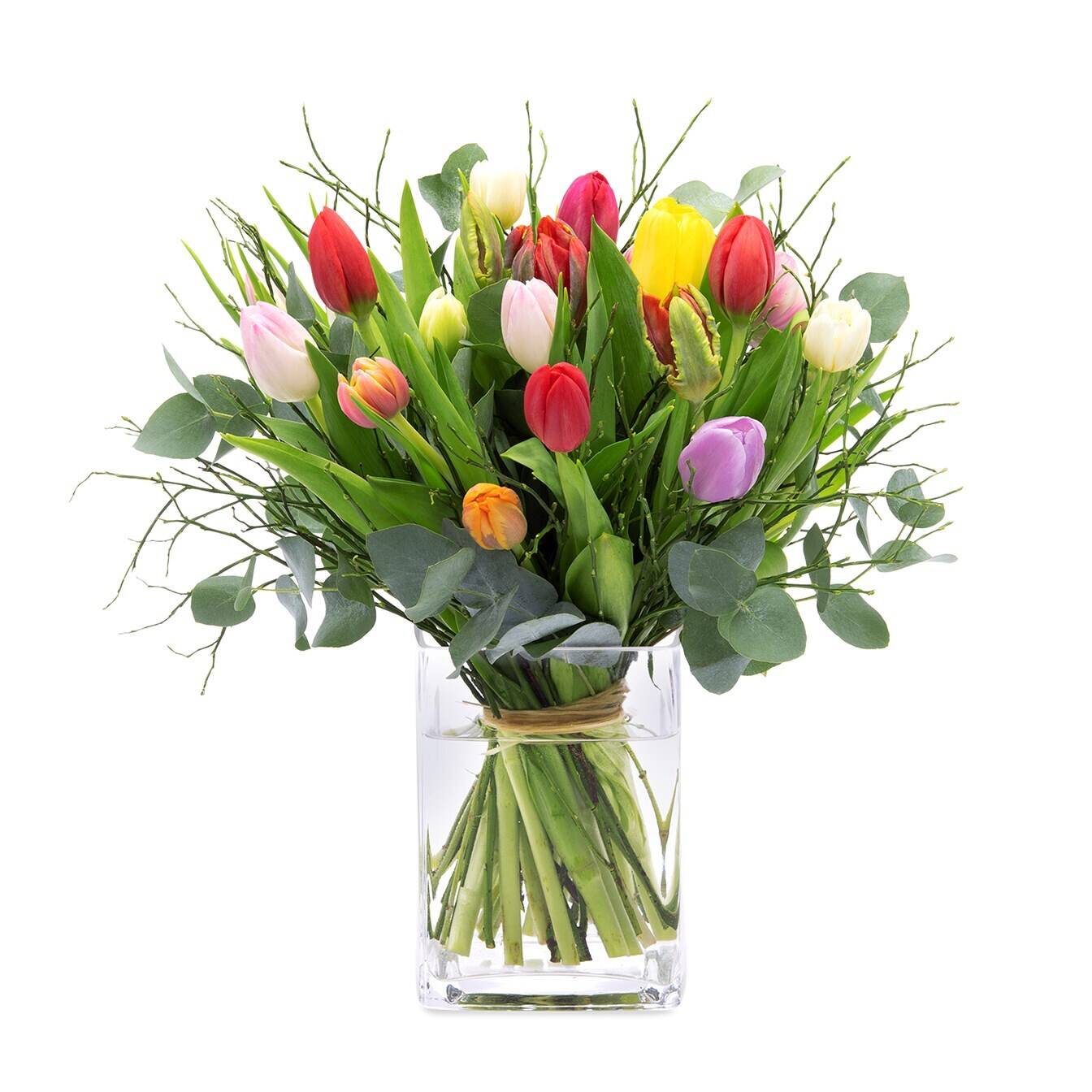 Blume, Blumen-Arrangement, Pflanze, Blumenstrauß, Blume, Blumen-Arrangement, Pflanze, Blumenstrauß, Blume, Blumen-Arrangement, Pflanze, Blumenstrauß, Blume, Blumen-Arrangement, Pflanze, Blumenstrauß, Blume, Blumen-Arrangement, Pflanze, Blumenstrauß
