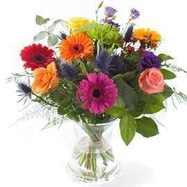 Blume, Blumen-Arrangement, Blumenstrauß, Pflanze, Blume, Blumen-Arrangement, Blumenstrauß, Pflanze, Blume, Blumen-Arrangement, Blumenstrauß, Pflanze, Blume, Blumen-Arrangement, Blumenstrauß, Pflanze, Blume, Blumen-Arrangement, Blumenstrauß, Pflanze