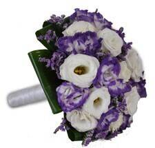 Blume, Blumen-Arrangement, Blumenstrauß, Pflanze, Blume, Blumen-Arrangement, Blumenstrauß, Pflanze, Blume, Blumen-Arrangement, Blumenstrauß, Pflanze, Blume, Blumen-Arrangement, Blumenstrauß, Pflanze, Blume, Blumen-Arrangement, Blumenstrauß, Pflanze