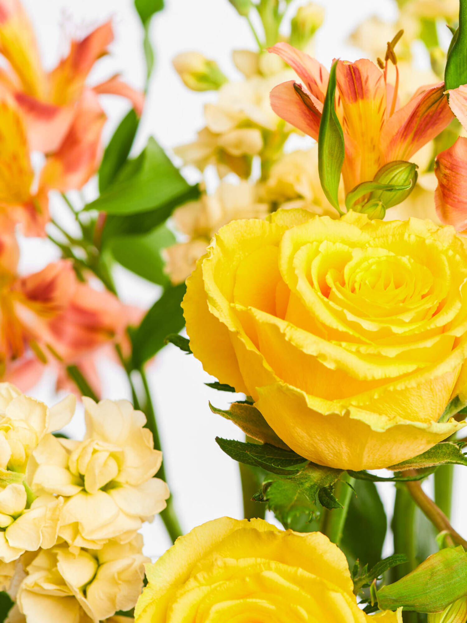 You're My Sunshine - Hauptblüte: Alstromerien, Levkojen, Rosen - Hauptfarbe: Gelb, Orange