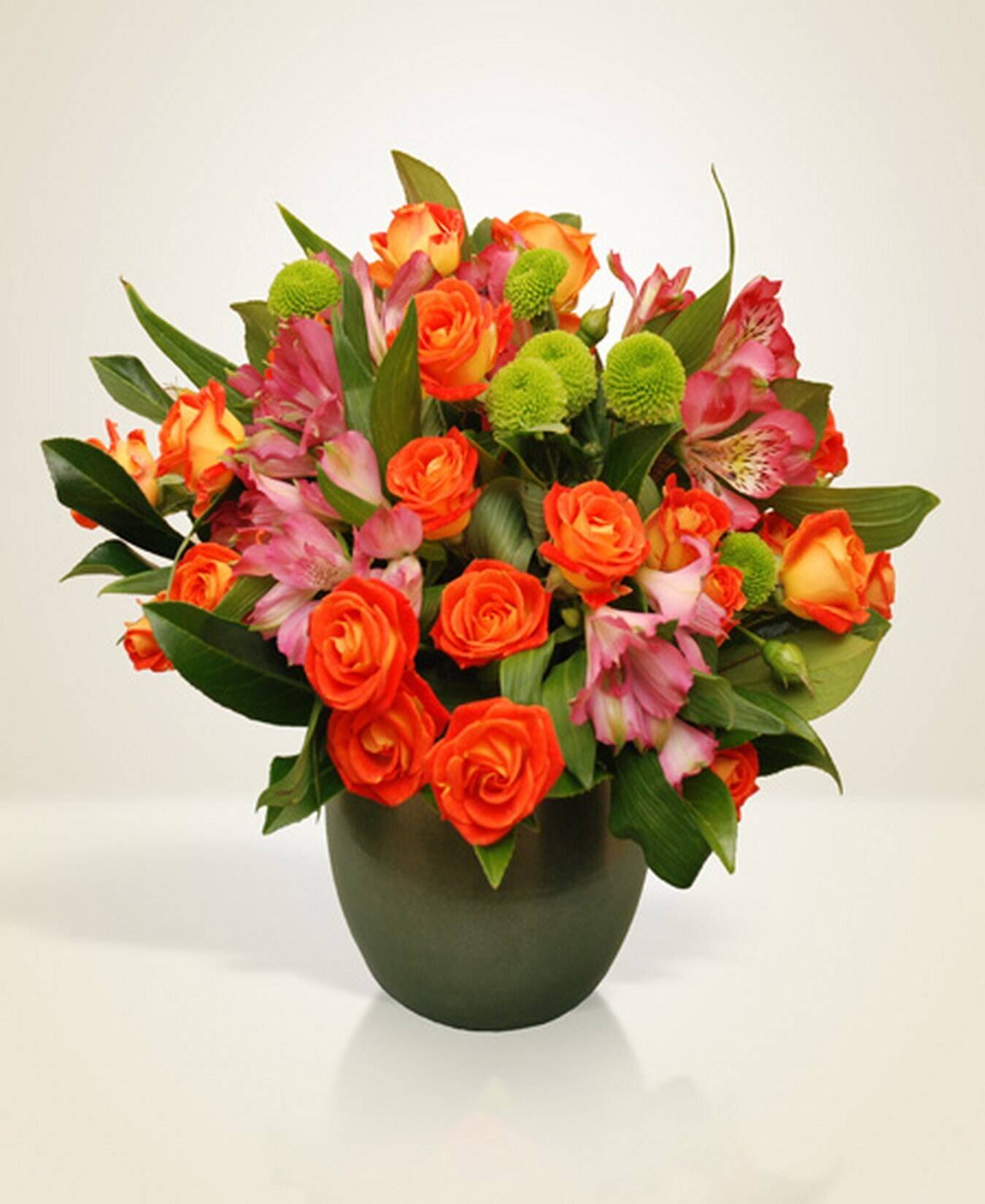 Blume, Blumen-Arrangement, Blumenstrauß, Rose, Florales Design, Blume, Blumen-Arrangement, Blumenstrauß, Rose, Florales Design, Blume, Blumen-Arrangement, Blumenstrauß, Rose, Florales Design