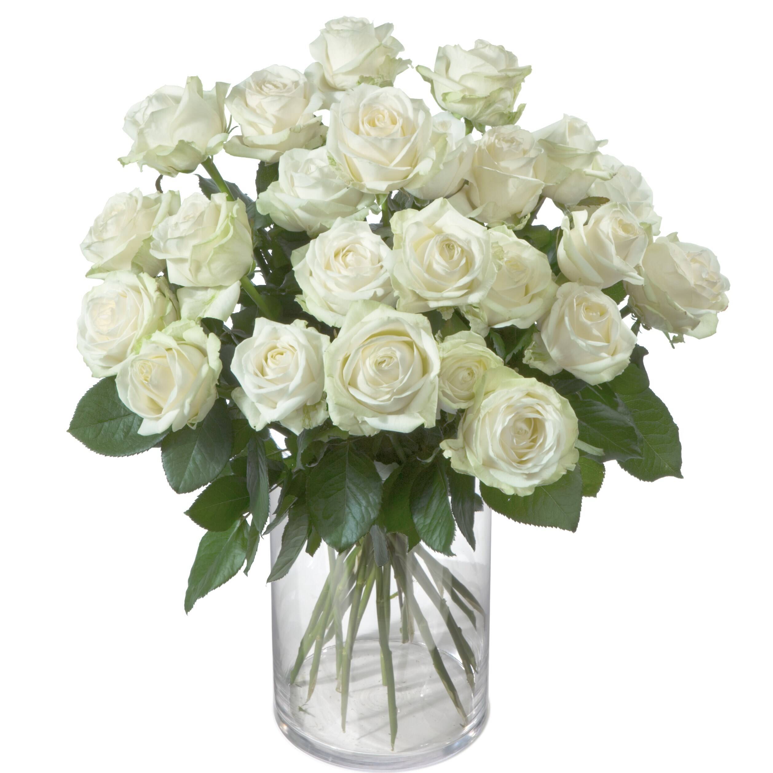 weiße rosen, rosen strauß, glas vase, blumen arrangement, strauß stiele, weiße Rosen, Rosenstrauß, Glassvase, Blumenarrangement, Stängel sichtbar, weiße Rosen, Roseenstrauß, Glassvase, Blumenarrangement, Grünblätter