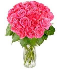 Blume, Blumen-Arrangement, Blumenstrauß, Pflanze, Rose, Blume, Blumen-Arrangement, Blumenstrauß, Pflanze, Rose, Blume, Blumen-Arrangement, Blumenstrauß, Pflanze, Rose, Blume, Blumen-Arrangement, Blumenstrauß, Pflanze, Rose